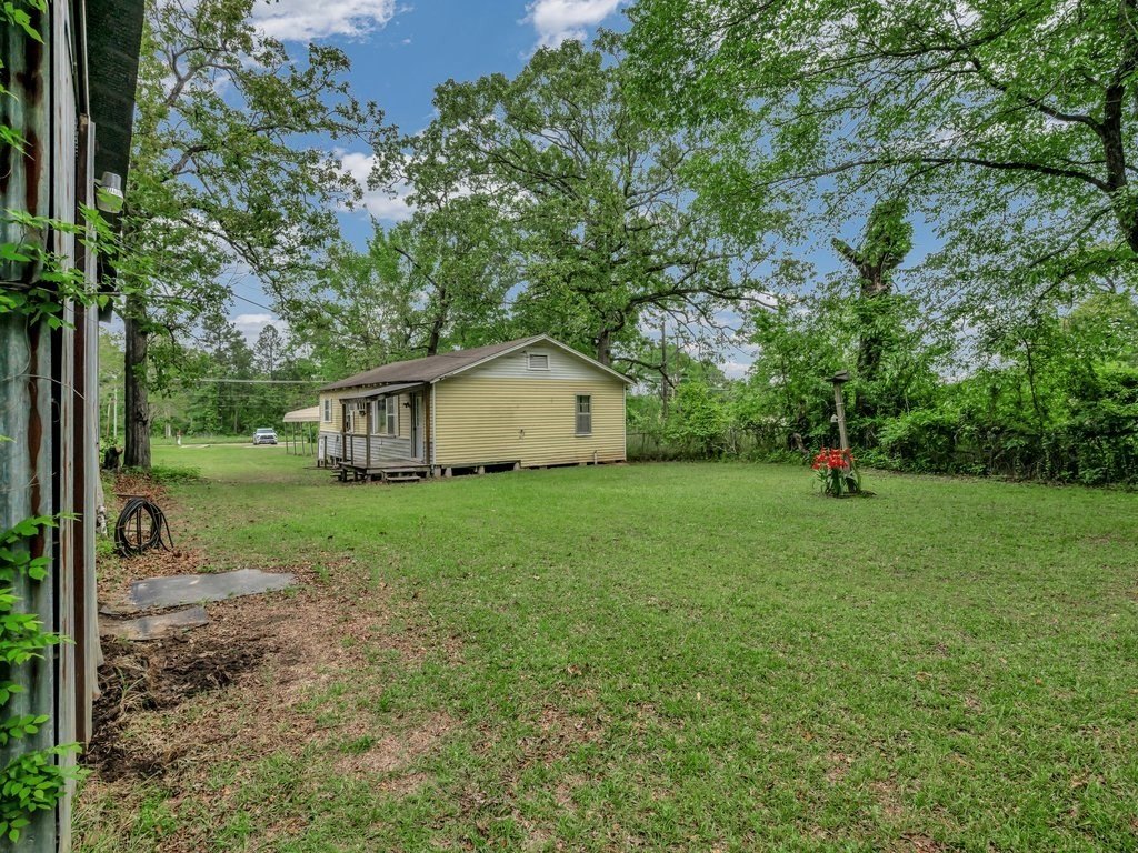 Picture 23