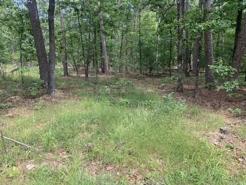 Residential Land in Hot Springs