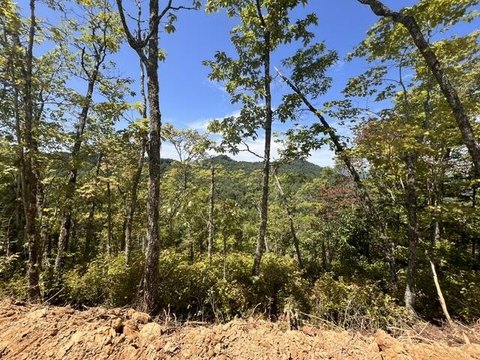 Land, Bryson City, NC
