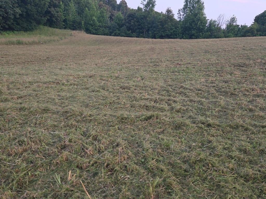 Picture 3