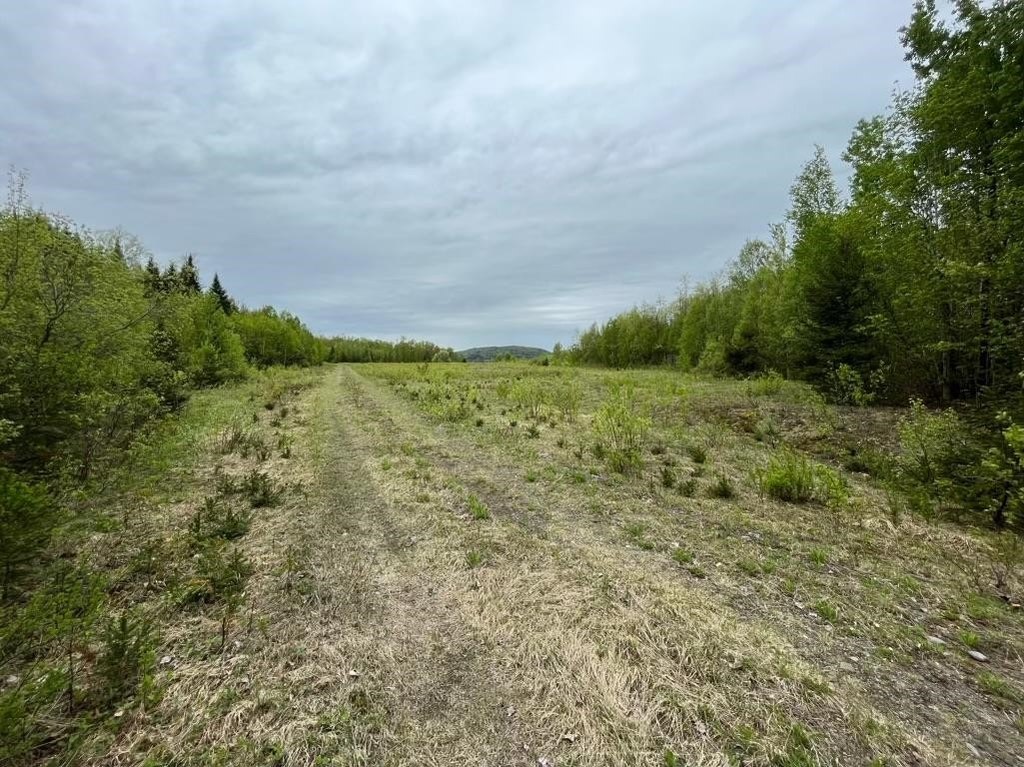 Picture 25