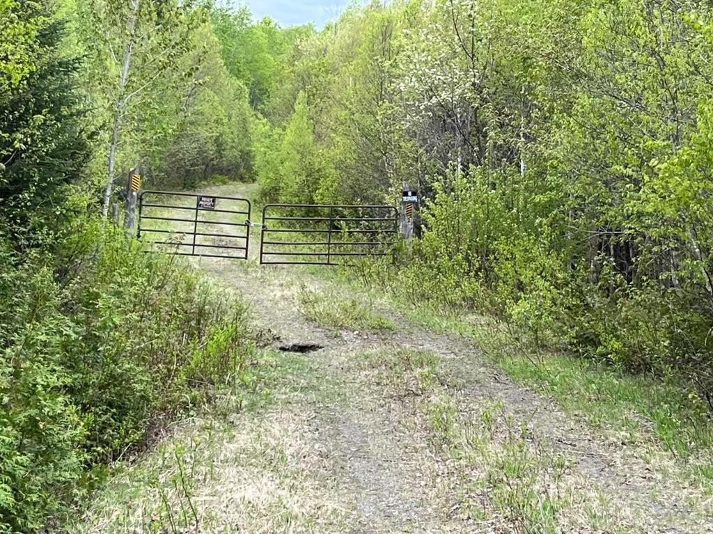Picture 22
