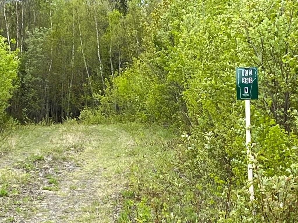 Picture 19