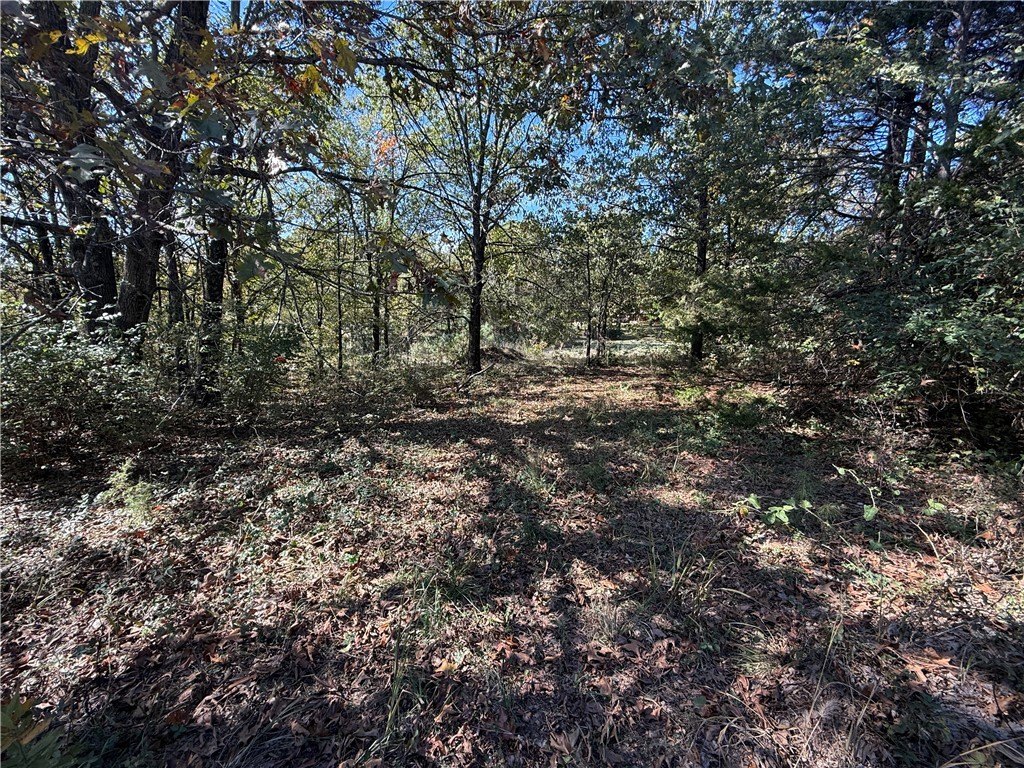 Picture 8