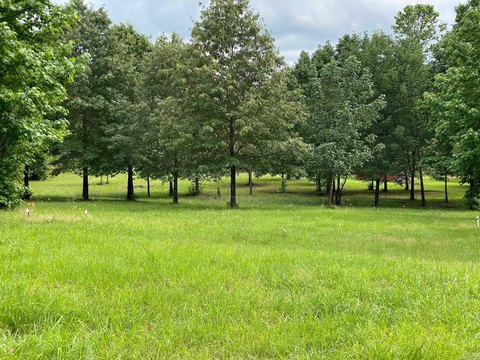 Residential Lots Near Cove Creek
