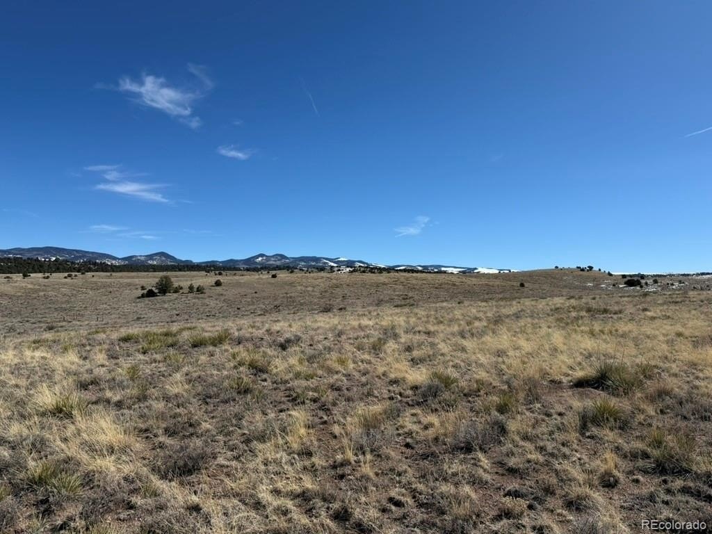 Picture 20