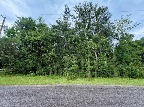 Land, SILVER SPRINGS, FL