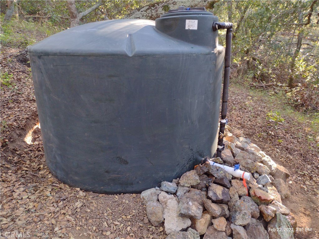 Picture 15