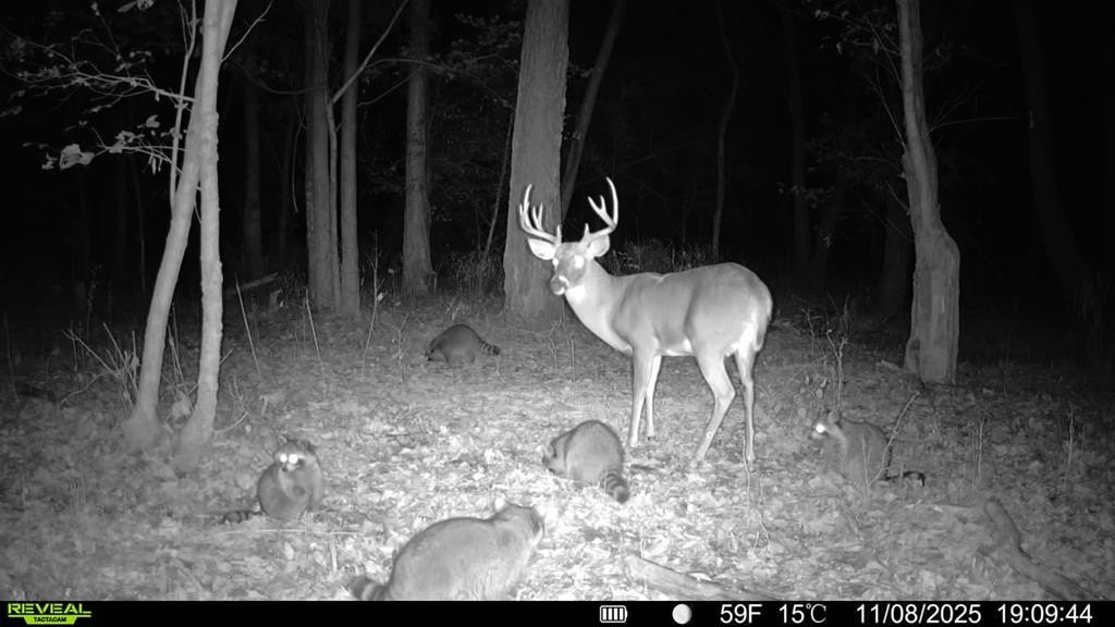 Picture 24