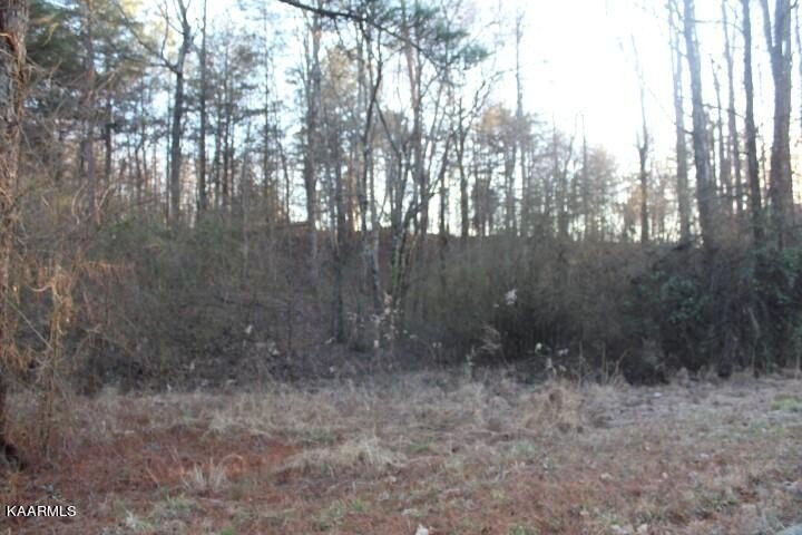 Residential Lot in Growing Neighborhood