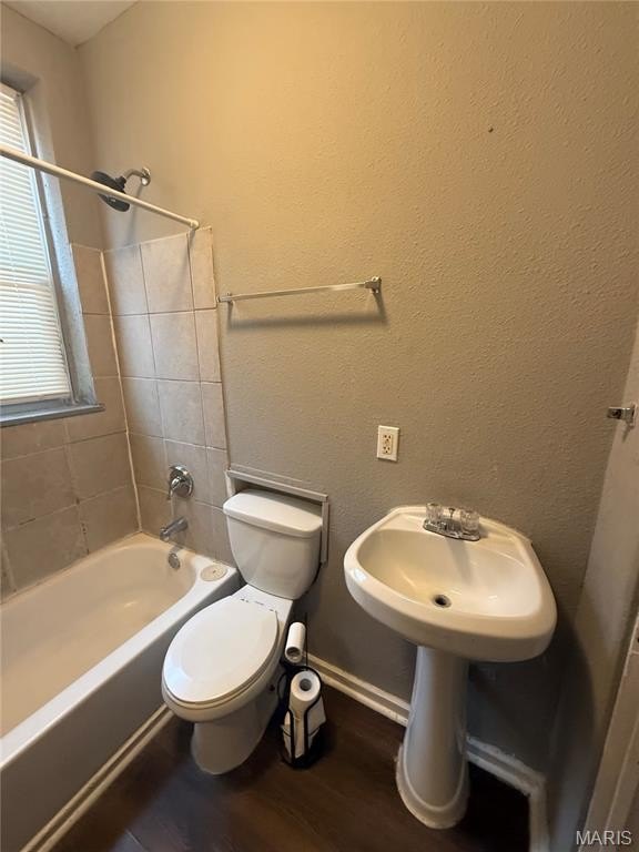 Picture 15