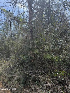 LAND - Marianna, FL