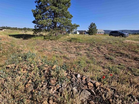 Land For Sale, Pagosa Springs