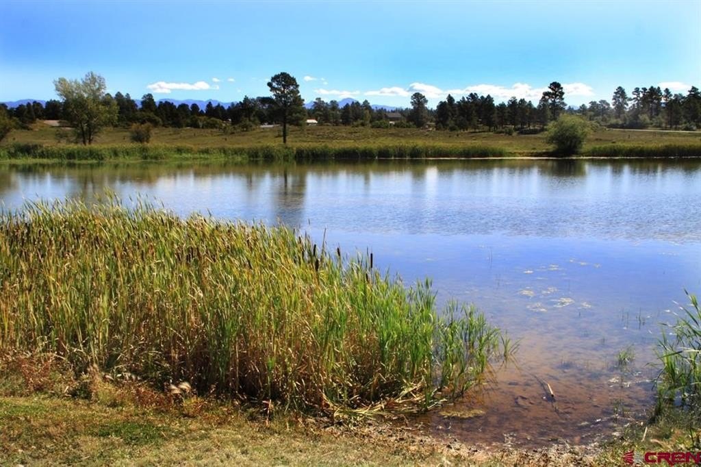 Picture 25