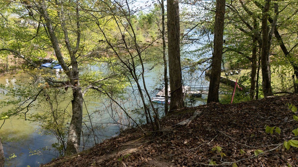 Picture 3