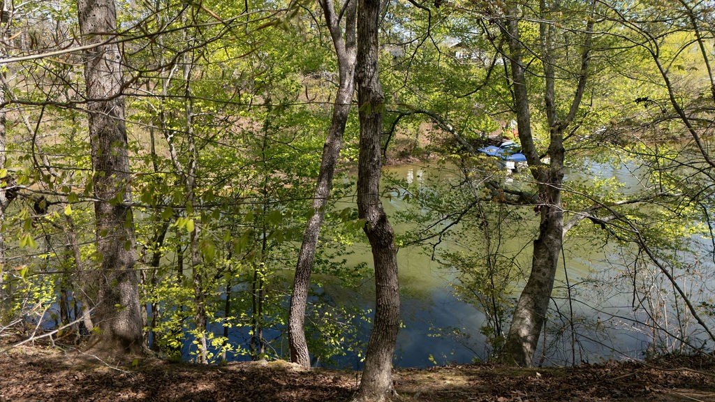 Picture 4