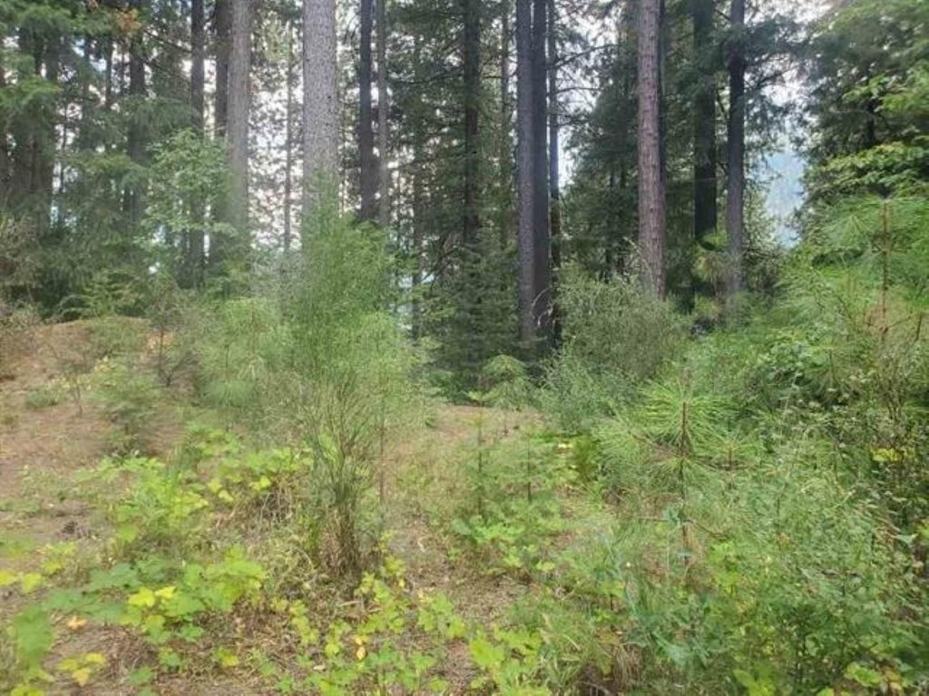 Picture 4