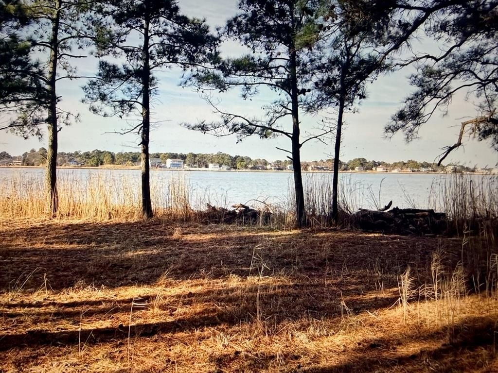 Picture 4