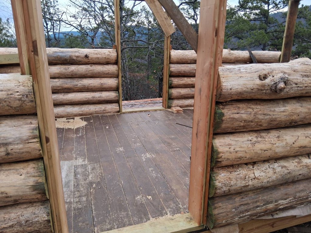 Picture 11