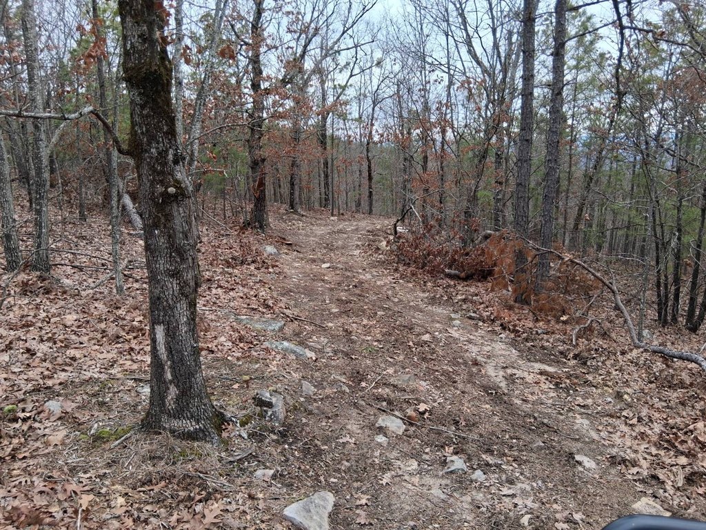 Picture 4