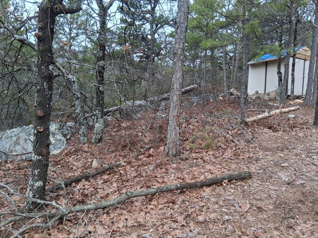 Picture 14