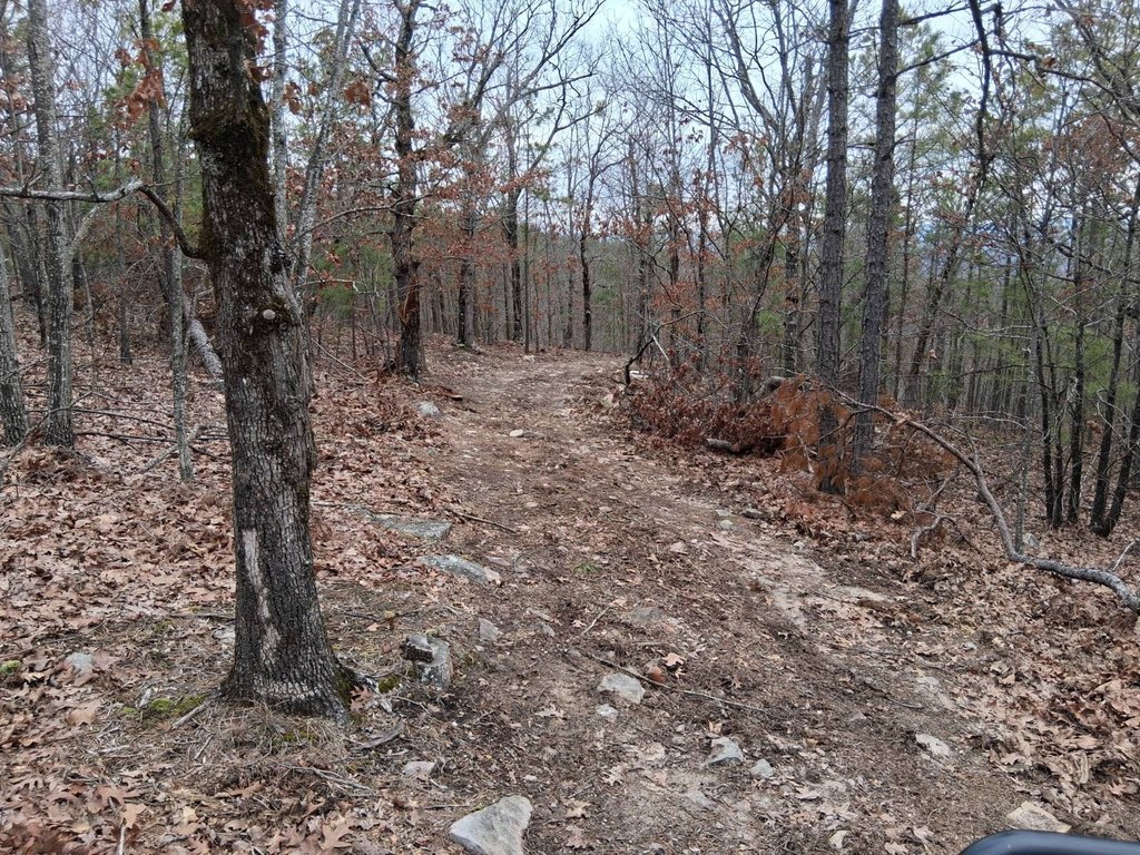 Picture 3