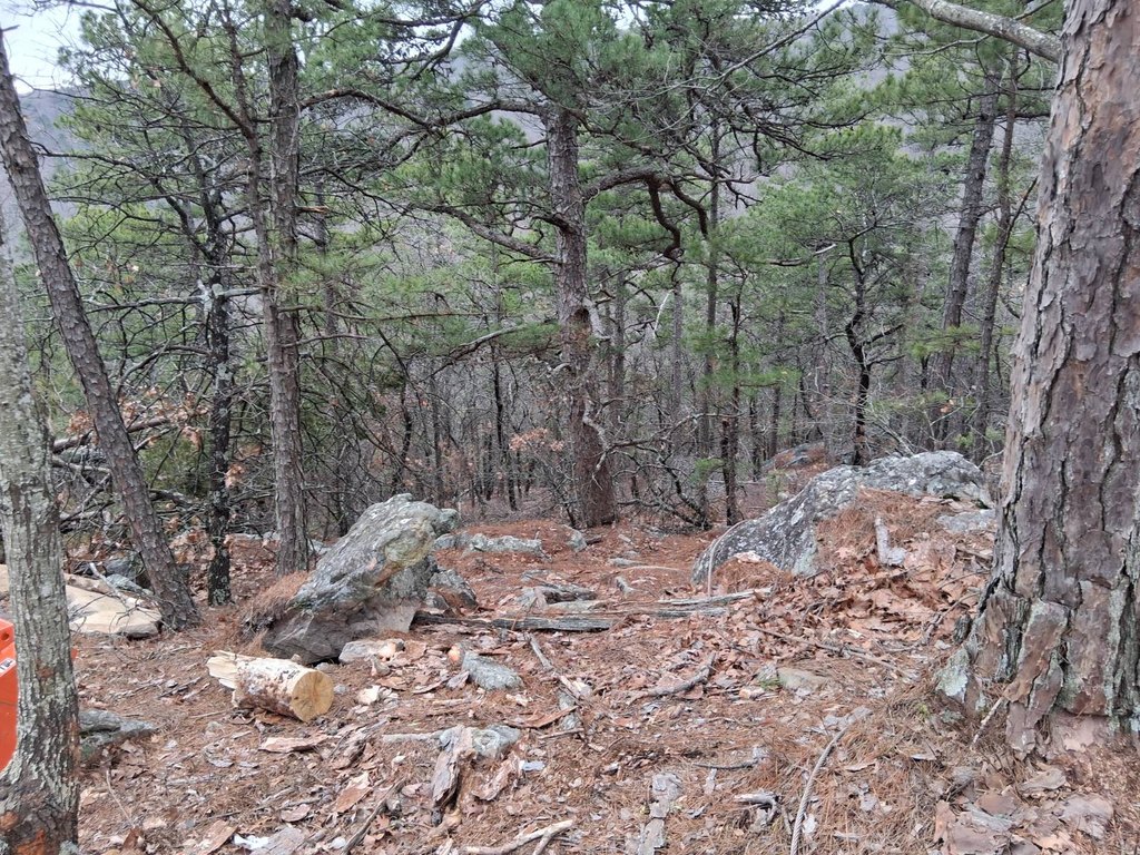 Picture 7
