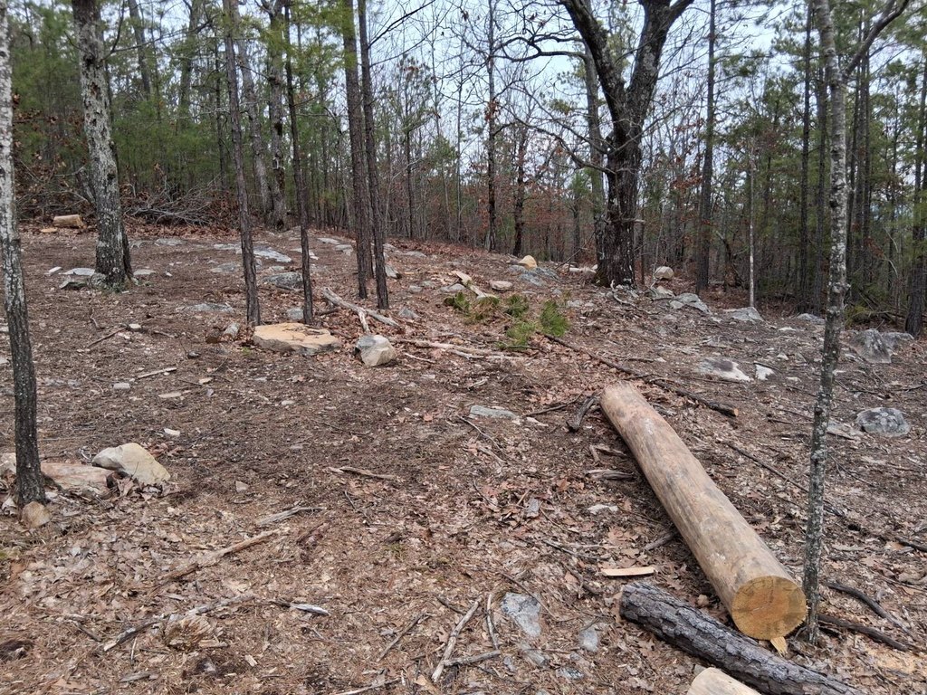 Picture 15