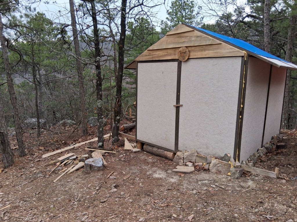 Picture 5