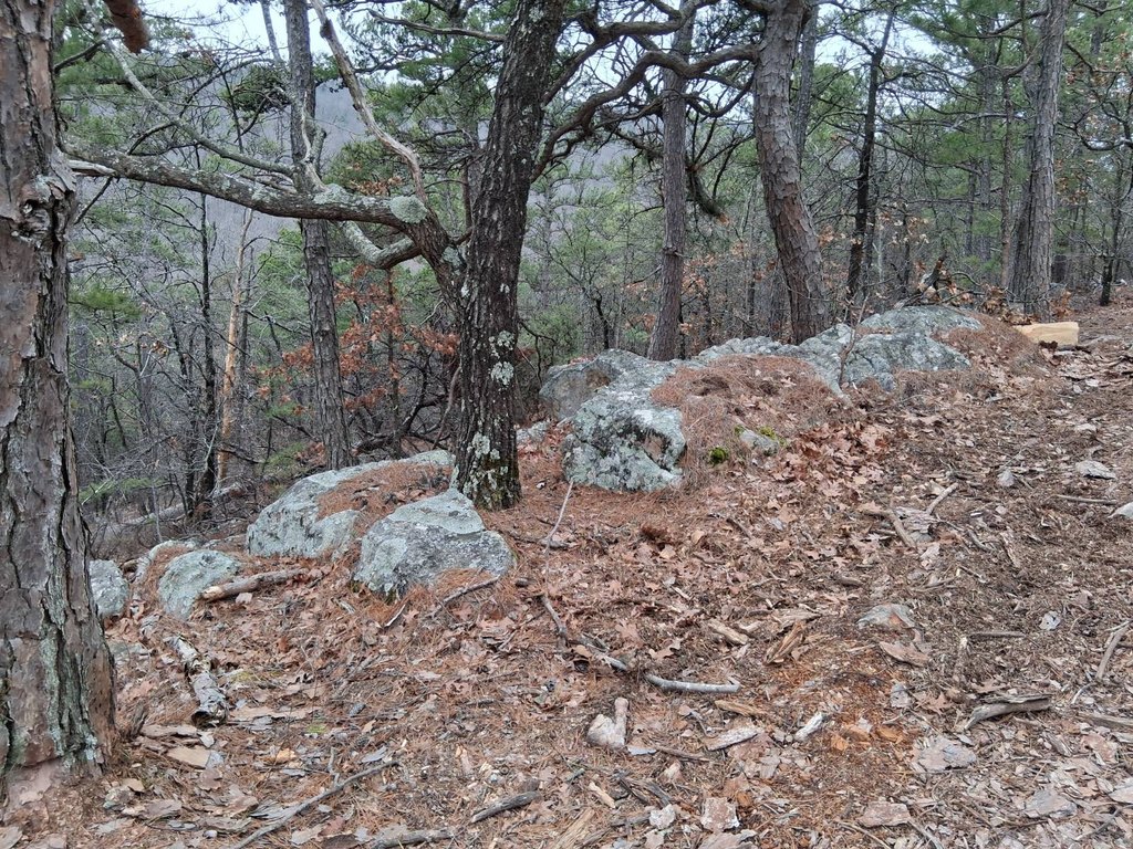 Picture 6
