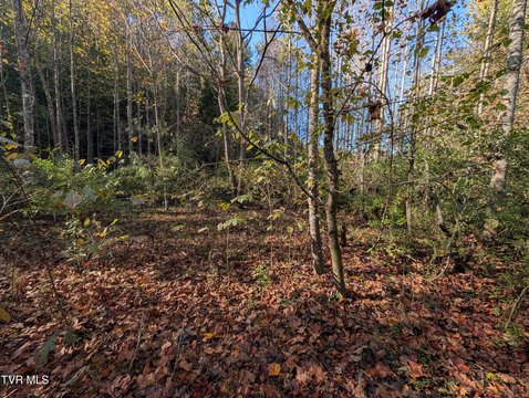 Land, Fort Blackmore, VA