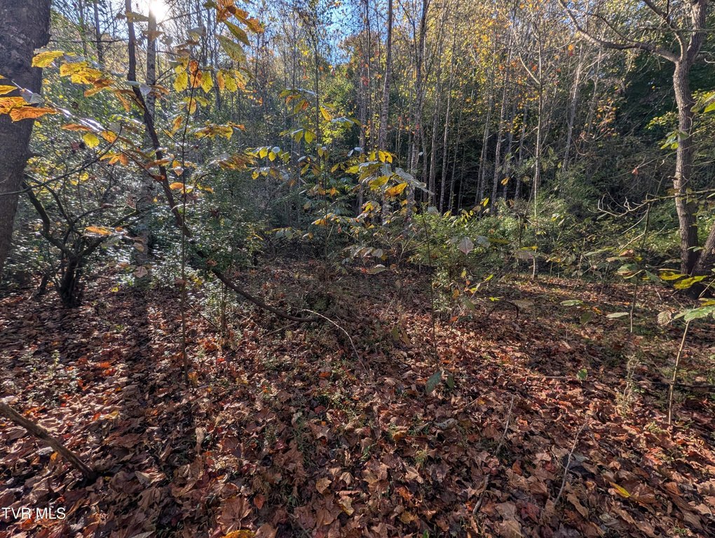 Picture 4