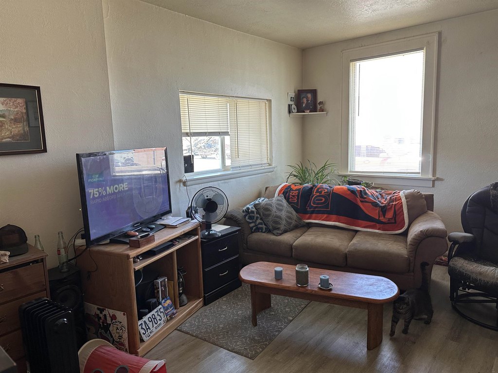 Picture 11