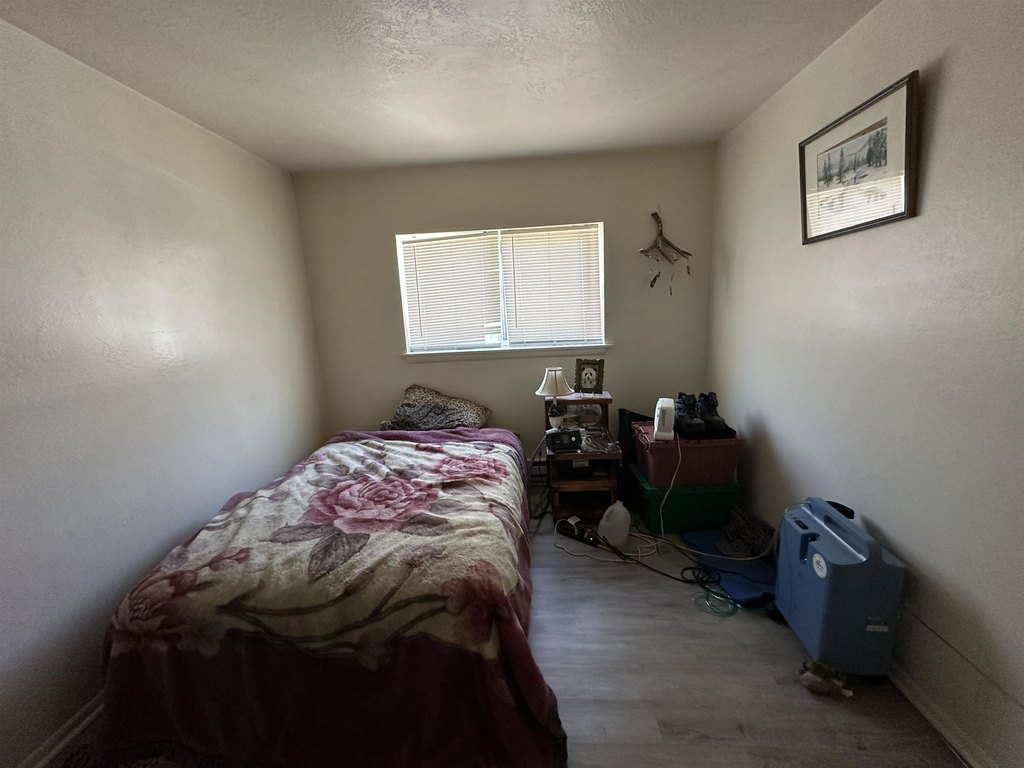 Picture 13