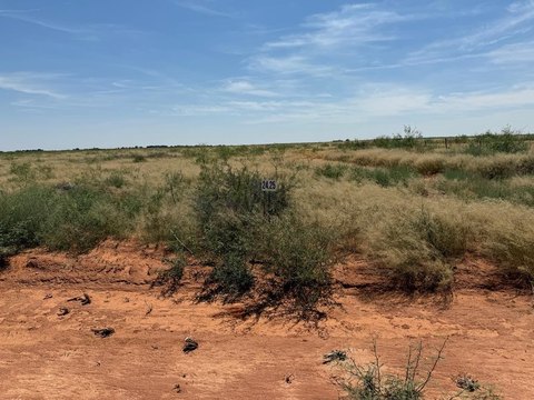 Land For Sale, Andrews, TX