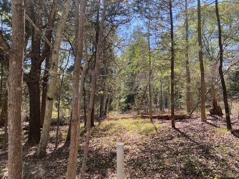 Wooded Lot in Gated Community