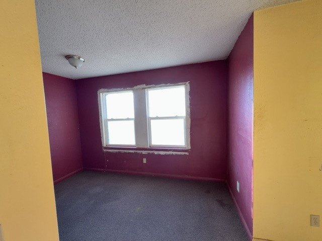 Picture 27