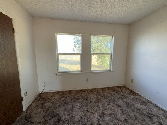 Picture 30