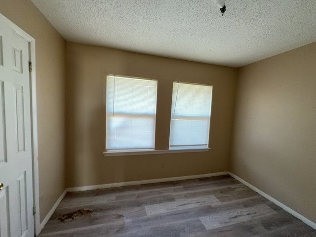 Picture 23