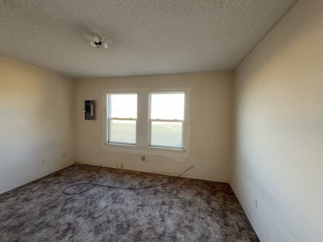 Picture 31