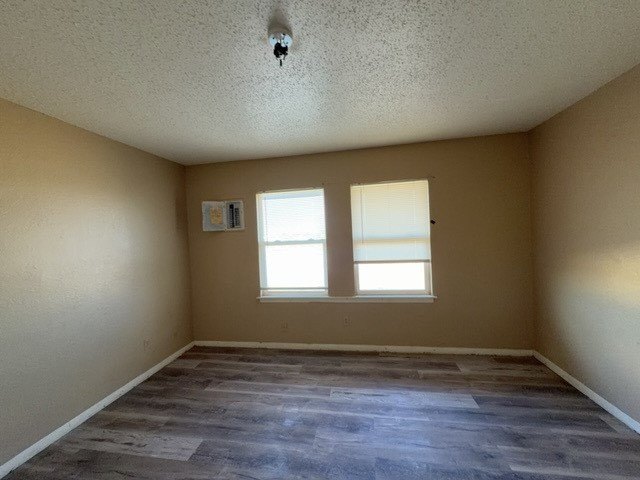 Picture 24