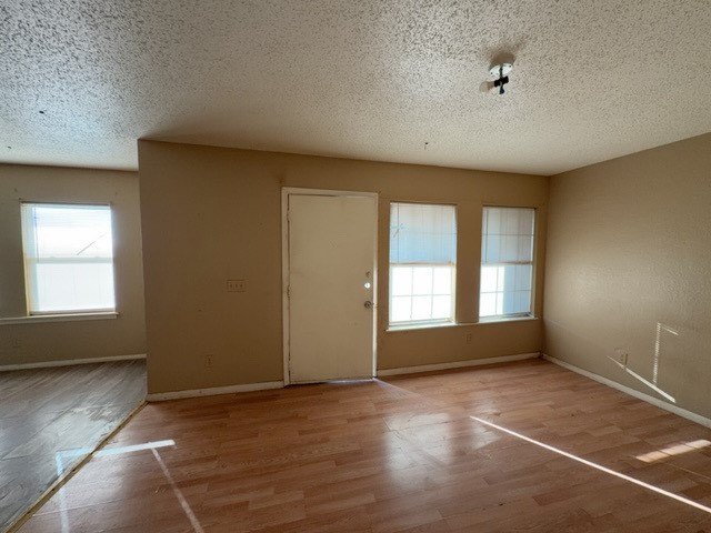 Picture 19