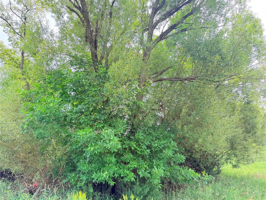 Picture 16