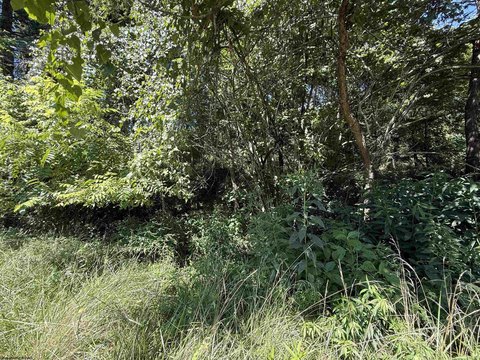 Lots/Land, Flemington, WV