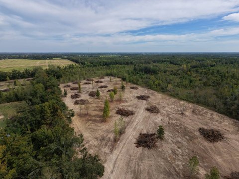Land, Rayville, LA