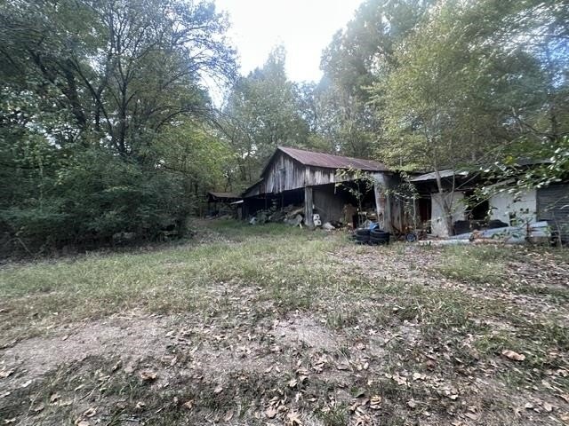 Picture 6