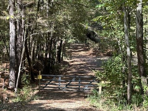 Land, Arlington, TN