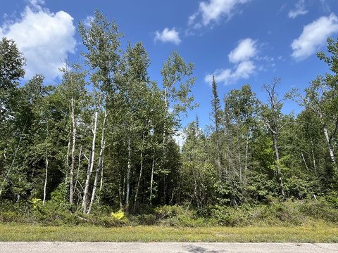 LAND - Presque Isle, MI