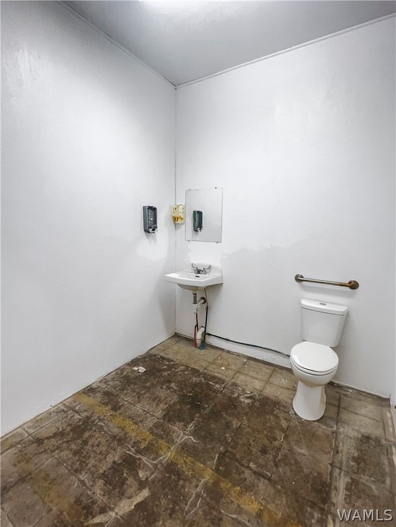 Picture 12