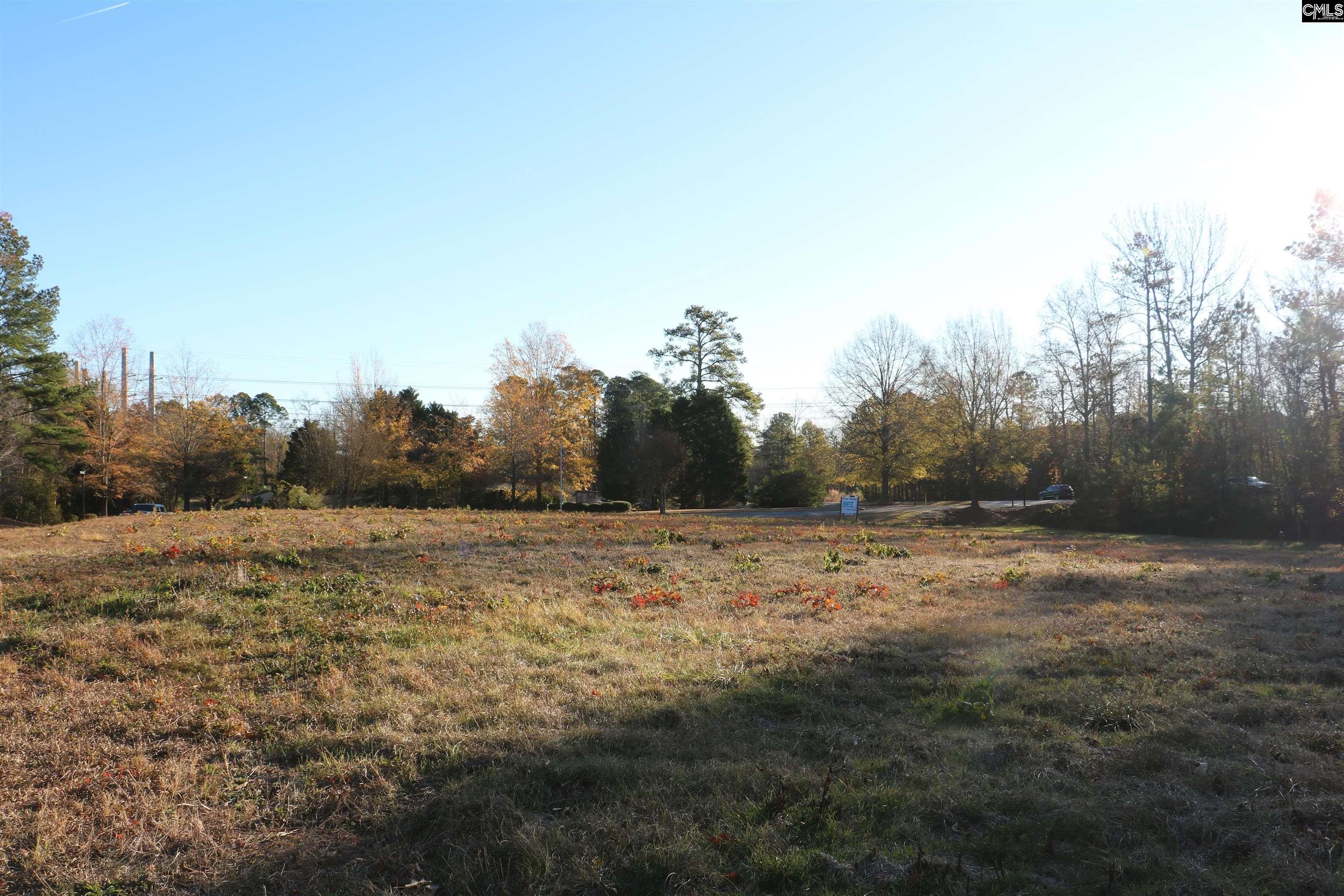 Irmo Commercial Corner Lot